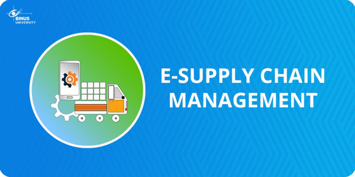 supply chain management eth zurich